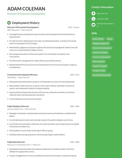 Director Of Economic Development Resume