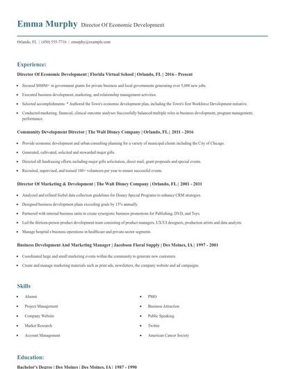 Director Of Economic Development Resume