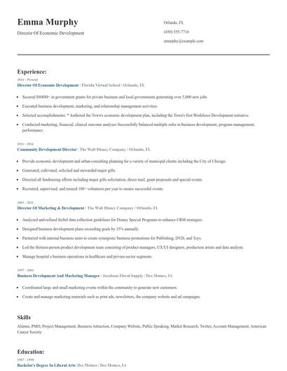 Director Of Economic Development Resume