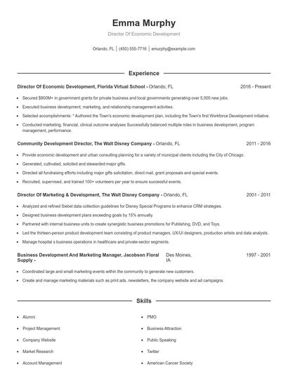 Director Of Economic Development Resume