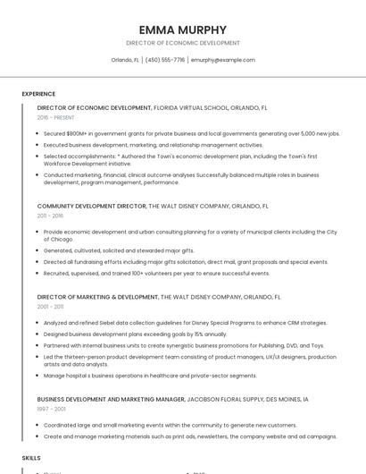 Director Of Economic Development Resume