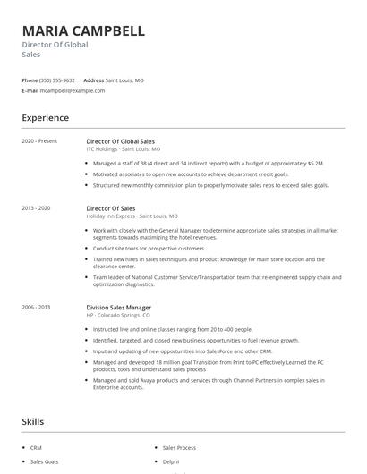 Director Of Global Sales Resume