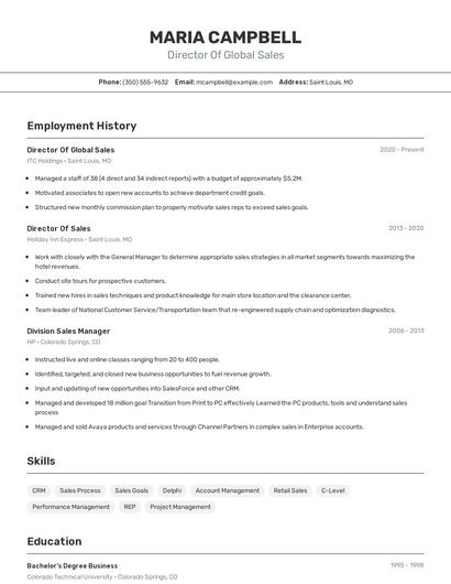 Director Of Global Sales Resume