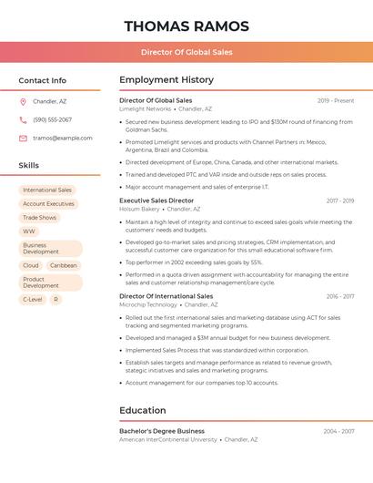 Director Of Global Sales Resume