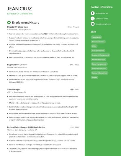 Director Of Global Sales Resume