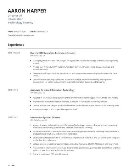 Director Of Information Technology Security Resume