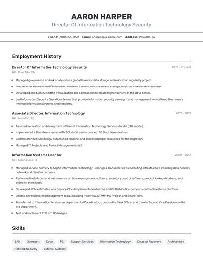 Director Of Information Technology Security Resume