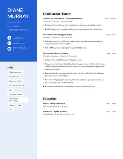 Director Of Information Technology Security Resume