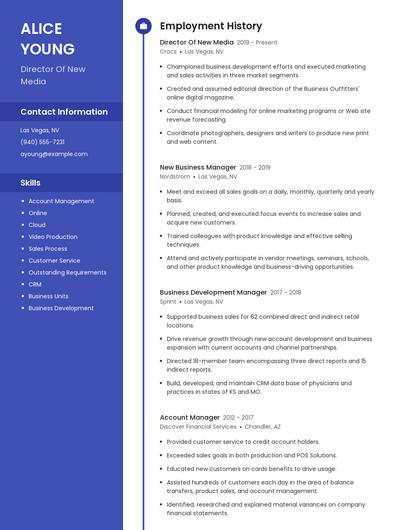 Director Of New Media Resume