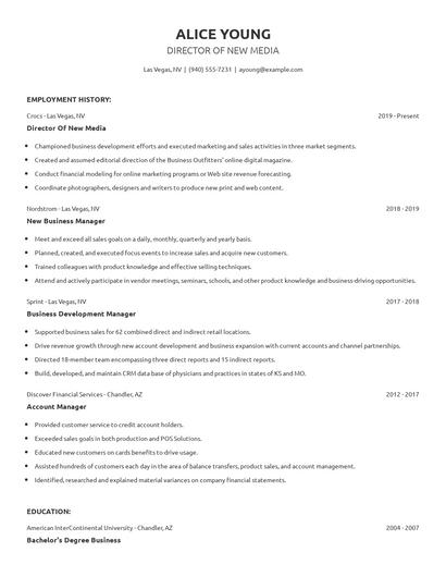 Director Of New Media Resume