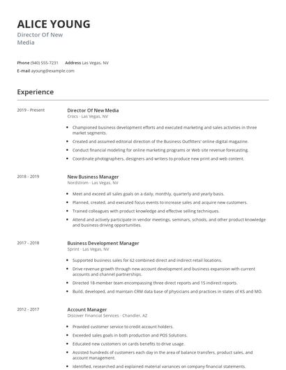 Director Of New Media Resume