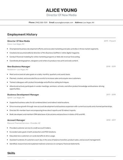 Director Of New Media Resume
