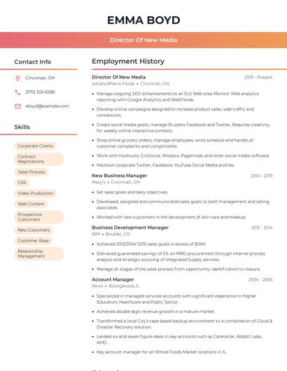 Director Of New Media Resume