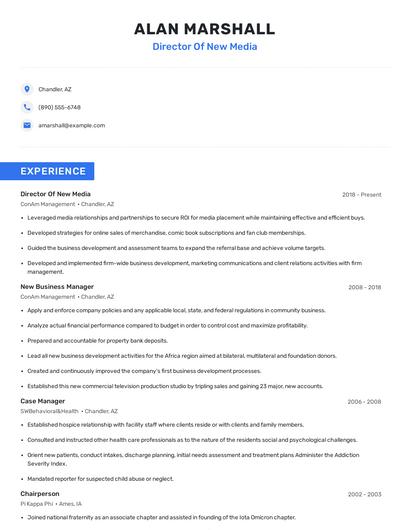 Director Of New Media Resume