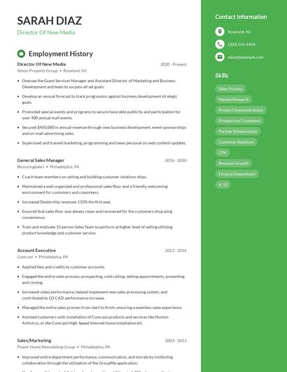 Director Of New Media Resume