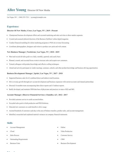 Director Of New Media Resume
