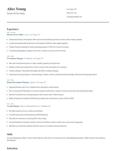 Director Of New Media Resume