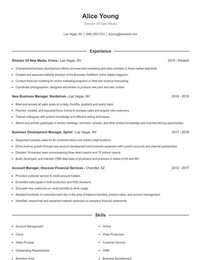 Director Of New Media Resume