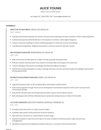 Director Of New Media Resume