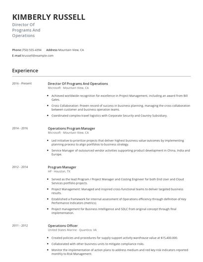 Director Of Programs And Operations Resume