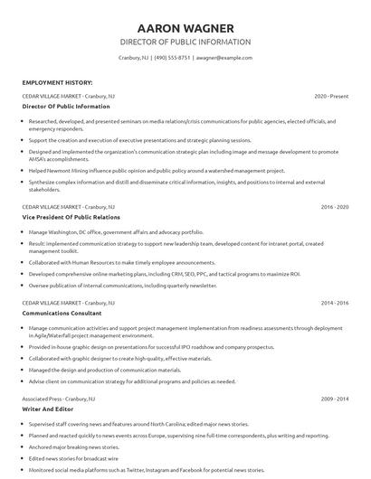 Director Of Public Information Resume