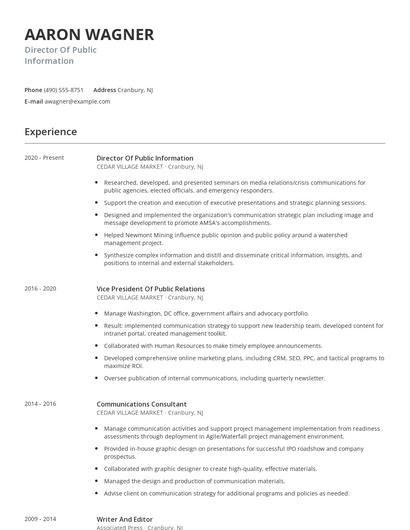 Director Of Public Information Resume