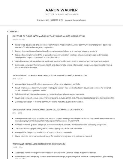 Director Of Public Information Resume