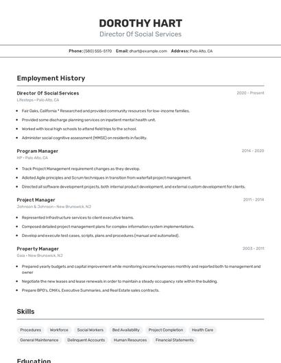 Director Of Social Services Resume
