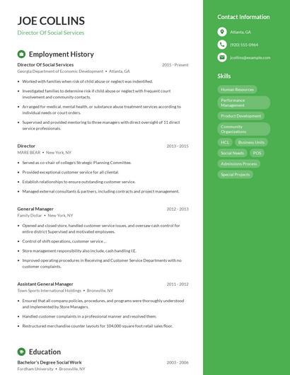 Director Of Social Services Resume