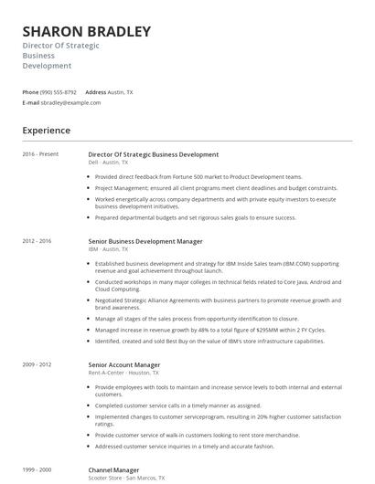 Director Of Strategic Business Development Resume