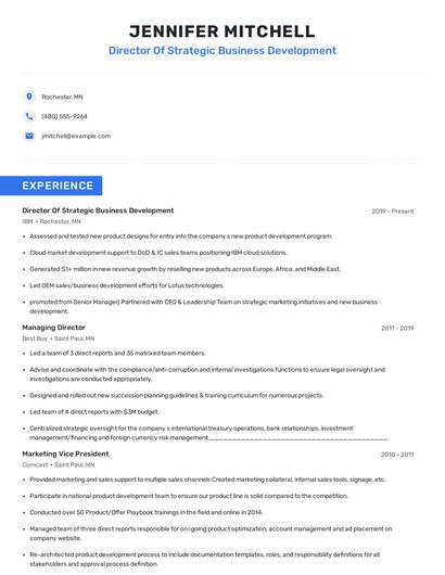 Director Of Strategic Business Development Resume