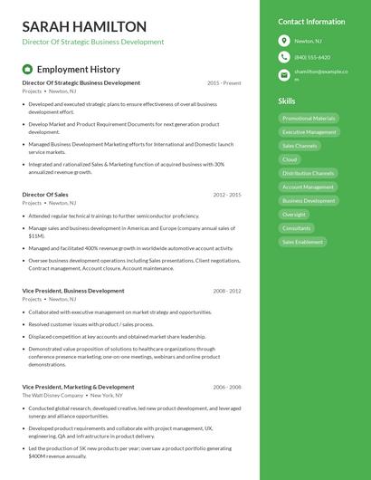 Director Of Strategic Business Development Resume