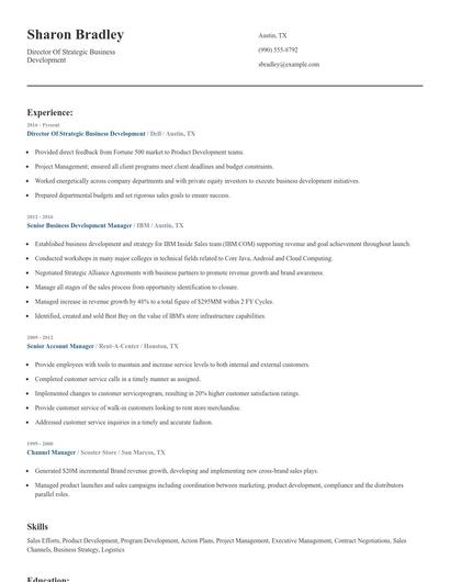Director Of Strategic Business Development Resume