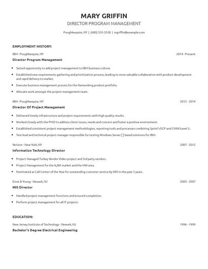 Director Program Management Resume