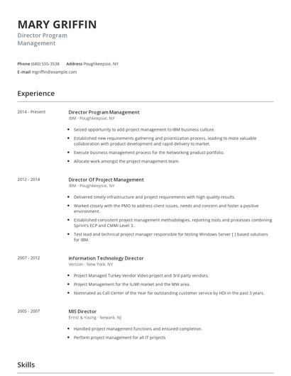 Director Program Management Resume