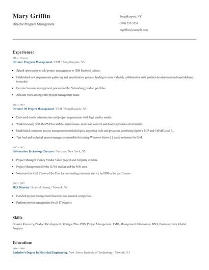 Director Program Management Resume