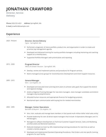 Director, Service Delivery Resume