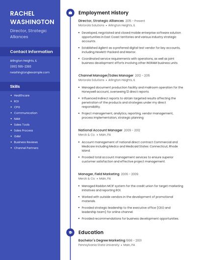 Director, Strategic Alliances Resume