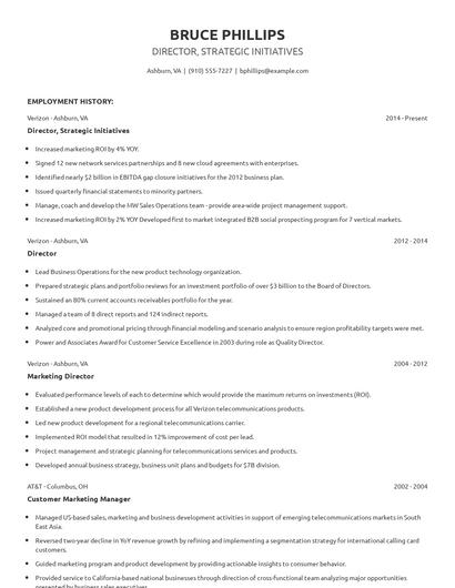 Director, Strategic Initiatives Resume