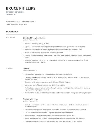 Director, Strategic Initiatives Resume