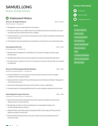 Director, Strategic Initiatives Resume