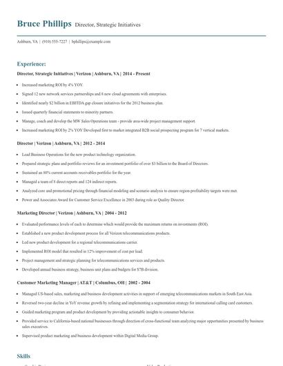 Director, Strategic Initiatives Resume