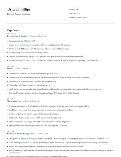 Director, Strategic Initiatives Resume