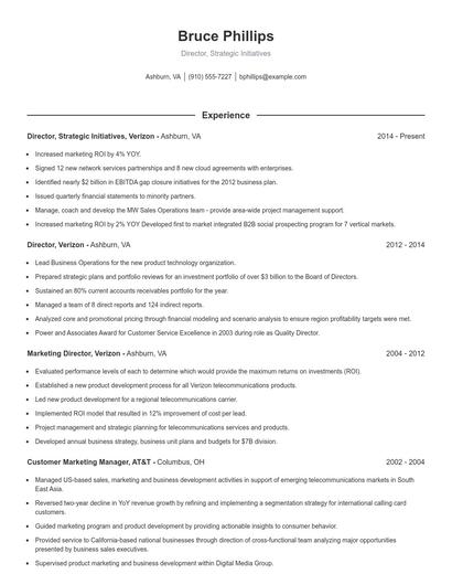 Director, Strategic Initiatives Resume