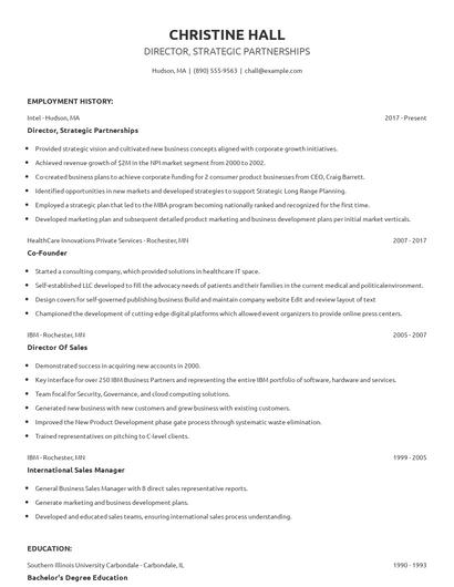 Director, Strategic Partnerships Resume