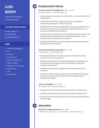 Director Systems Development Resume