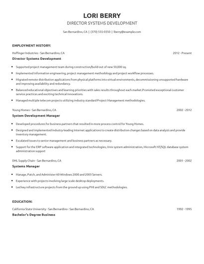 Director Systems Development Resume