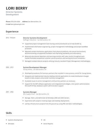 Director Systems Development Resume
