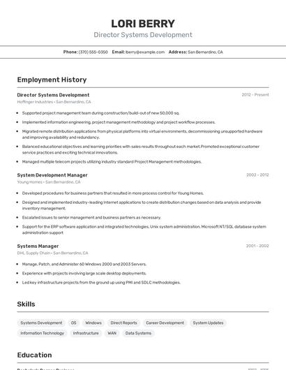 Director Systems Development Resume