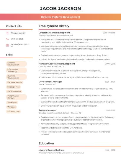 Director Systems Development Resume